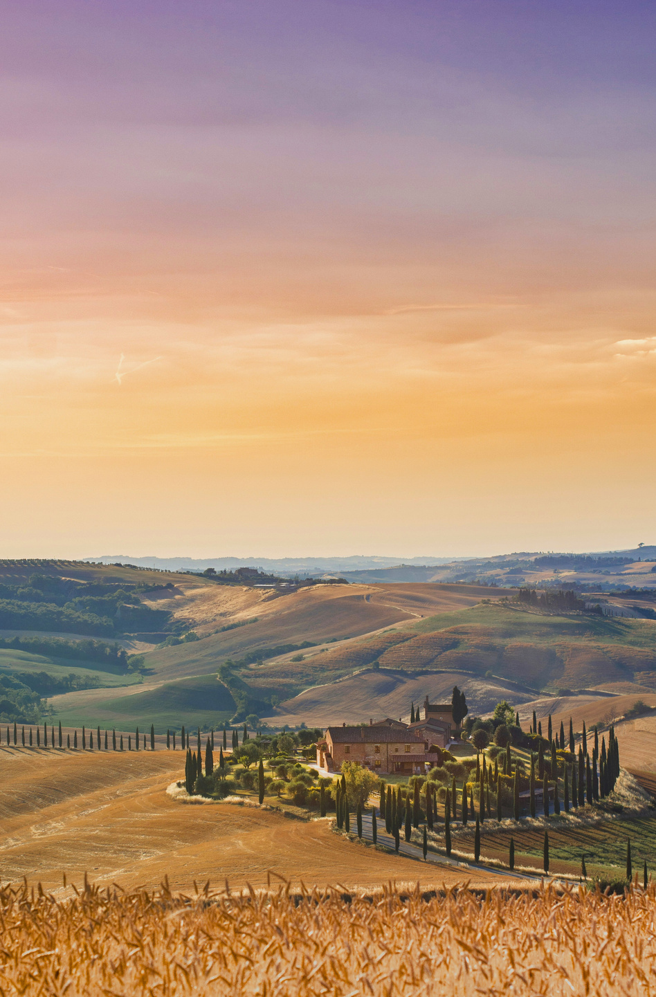 Tuscan landscape
